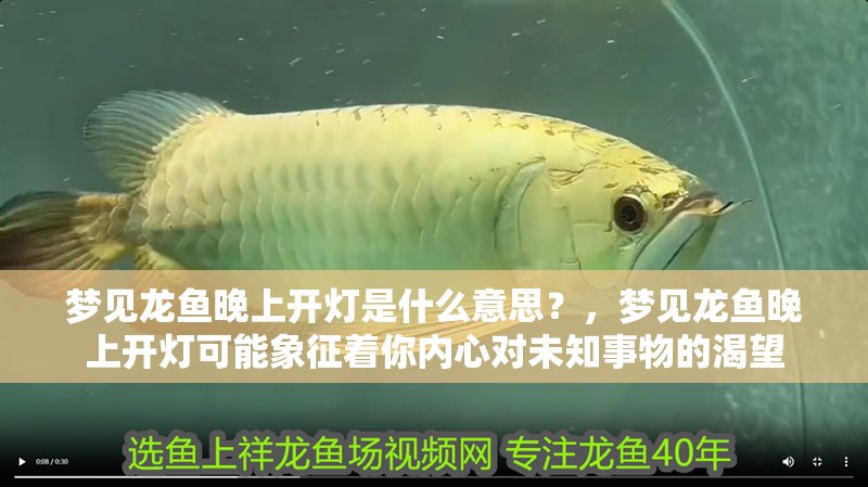 夢見龍魚晚上開燈是什么意思？，夢見龍魚晚上開燈可能象征著你內心對未知事物的渴望