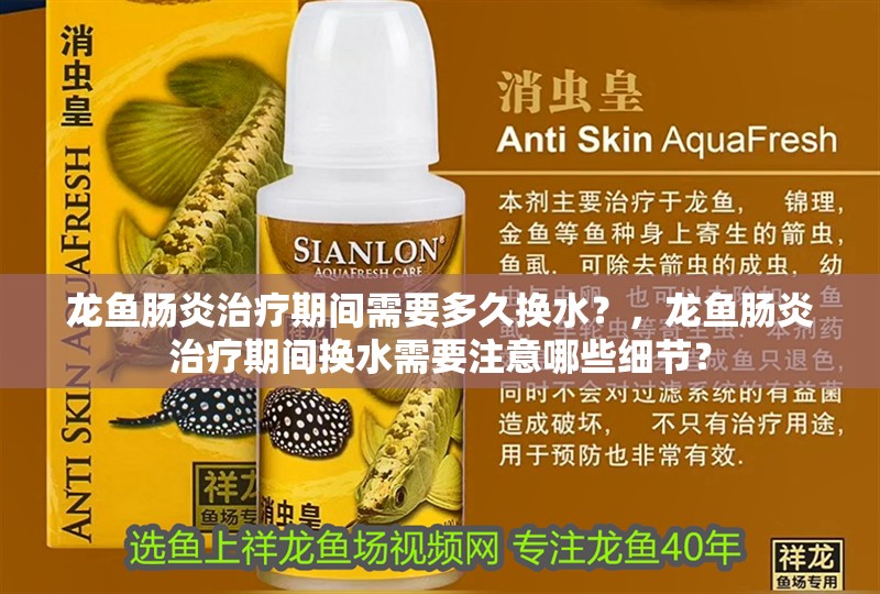 龍魚腸炎治療期間需要多久換水？，龍魚腸炎治療期間換水需要注意哪些細(xì)節(jié)？