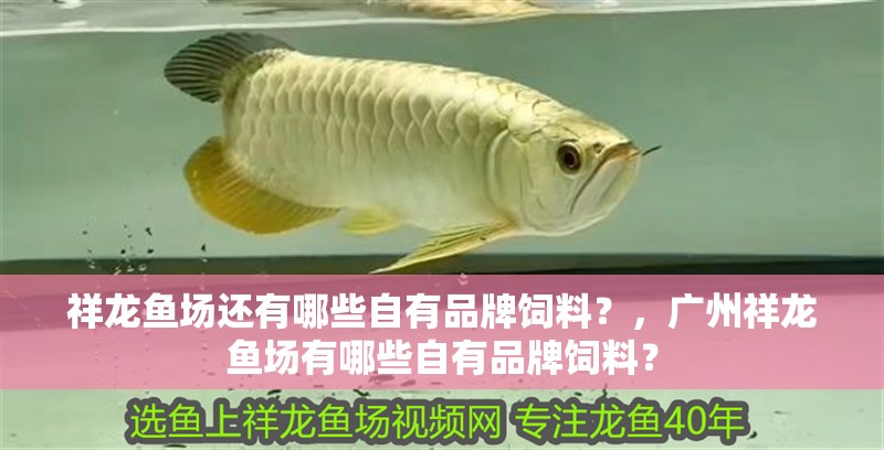 祥龍魚場還有哪些自有品牌飼料？，廣州祥龍魚場有哪些自有品牌飼料？