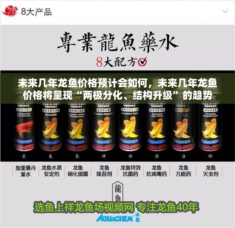 未來幾年龍魚價(jià)格預(yù)計(jì)會(huì)如何，未來幾年龍魚價(jià)格將呈現(xiàn)“兩極分化、結(jié)構(gòu)升級(jí)”的趨勢(shì)