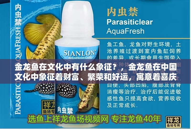 金龍魚在文化中有什么象征？，金龍魚在中國文化中象征著財富、繁榮和好運，寓意著喜慶和歡樂
