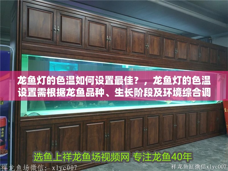 龍魚燈的色溫如何設置最佳？，龍魚燈的色溫設置需根據龍魚品種、生長階段及環境綜合調整