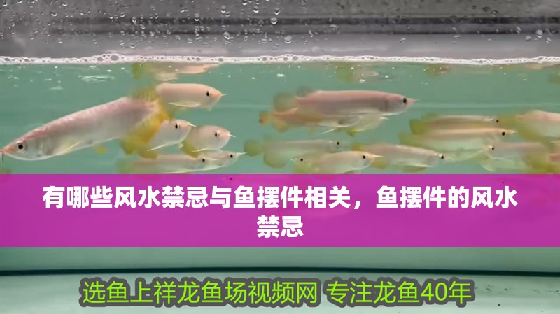 有哪些風水禁忌與魚擺件相關，魚擺件的風水禁忌