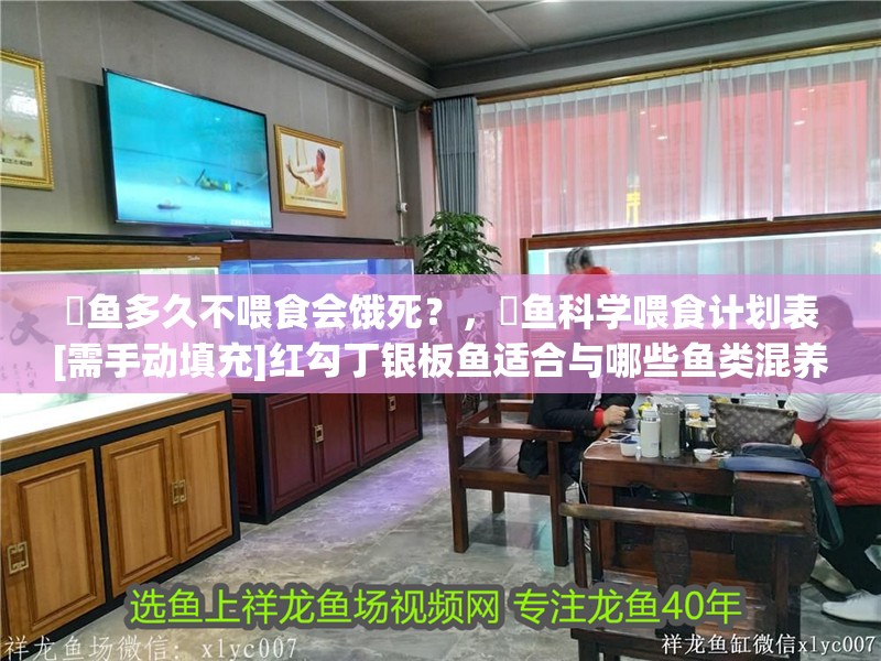 魟魚多久不喂食會餓死？，魟魚科學喂食計劃表[需手動填充]紅勾丁銀板魚適合與哪些魚類混養