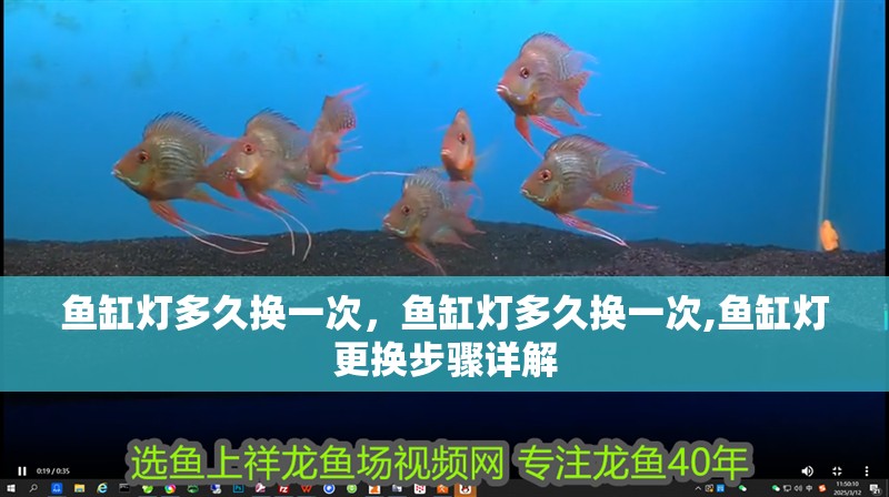 魚缸燈多久換一次，魚缸燈多久換一次,魚缸燈更換步驟詳解