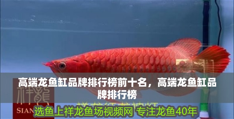 高端龍魚缸品牌排行榜前十名，高端龍魚缸品牌排行榜
