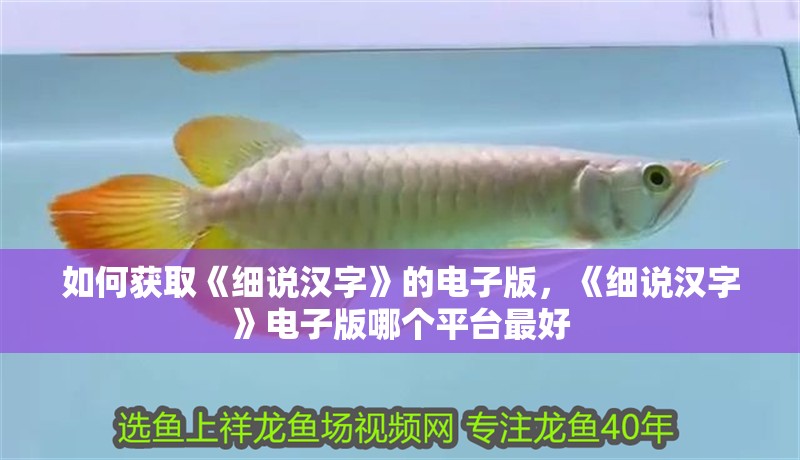 如何獲取《細說漢字》的電子版，《細說漢字》電子版哪個平臺最好