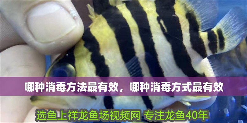 哪種消毒方法最有效，哪種消毒方式最有效