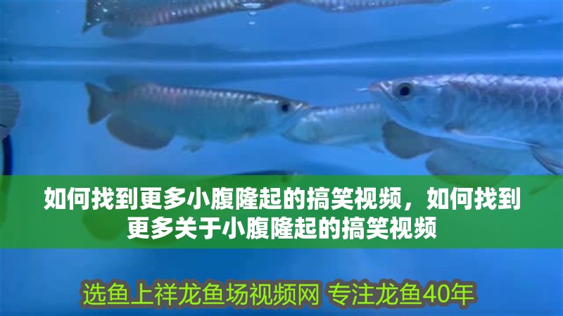 如何找到更多小腹隆起的搞笑視頻，如何找到更多關(guān)于小腹隆起的搞笑視頻