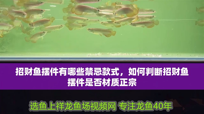 招財魚擺件有哪些禁忌款式，如何判斷招財魚擺件是否材質正宗