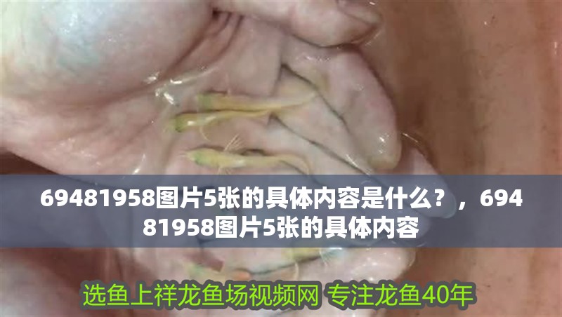 69481958圖片5張的具體內(nèi)容是什么？，69481958圖片5張的具體內(nèi)容