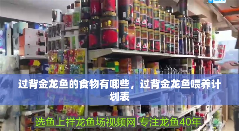 過背金龍魚的食物有哪些，過背金龍魚喂養計劃表