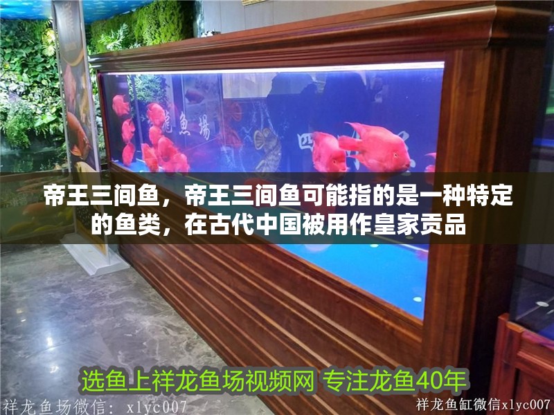 帝王三間魚，帝王三間魚可能指的是一種特定的魚類，在古代中國被用作皇家貢品