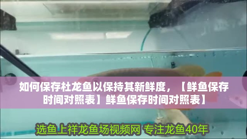 如何保存杜龍魚以保持其新鮮度，【鮮魚保存時間對照表】鮮魚保存時間對照表】