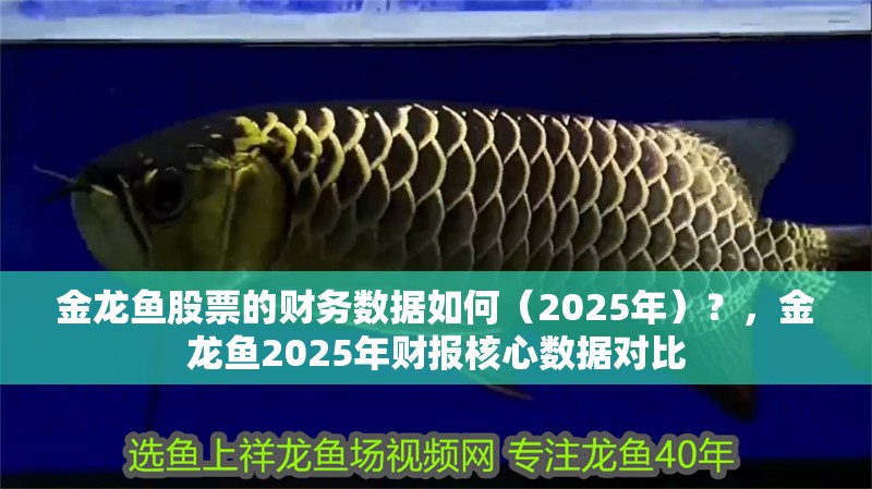 金龍魚股票的財務數據如何（2025年）？，金龍魚2025年財報核心數據對比