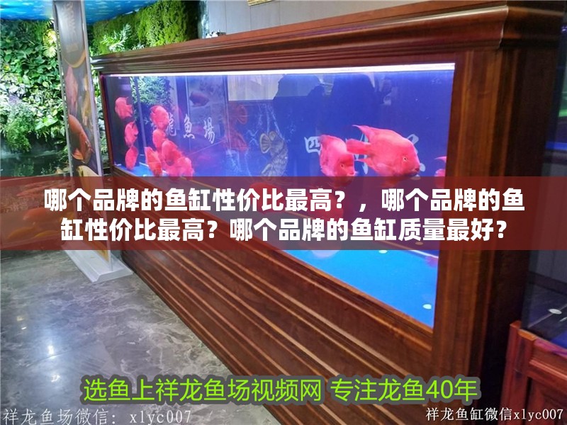 哪個品牌的魚缸性價比最高？，哪個品牌的魚缸性價比最高？哪個品牌的魚缸質量最好？