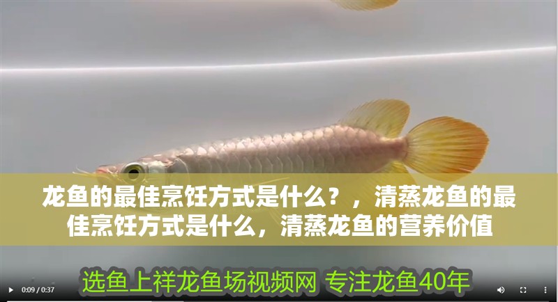 龍魚的最佳烹飪方式是什么？，清蒸龍魚的最佳烹飪方式是什么，清蒸龍魚的營養價值