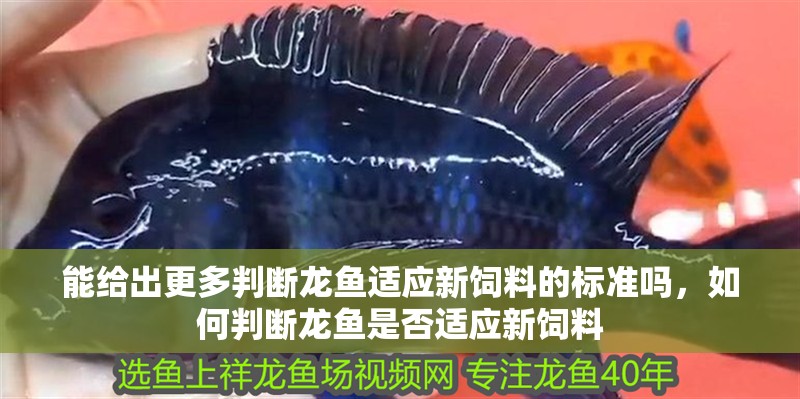 能給出更多判斷龍魚適應(yīng)新飼料的標準嗎，如何判斷龍魚是否適應(yīng)新飼料
