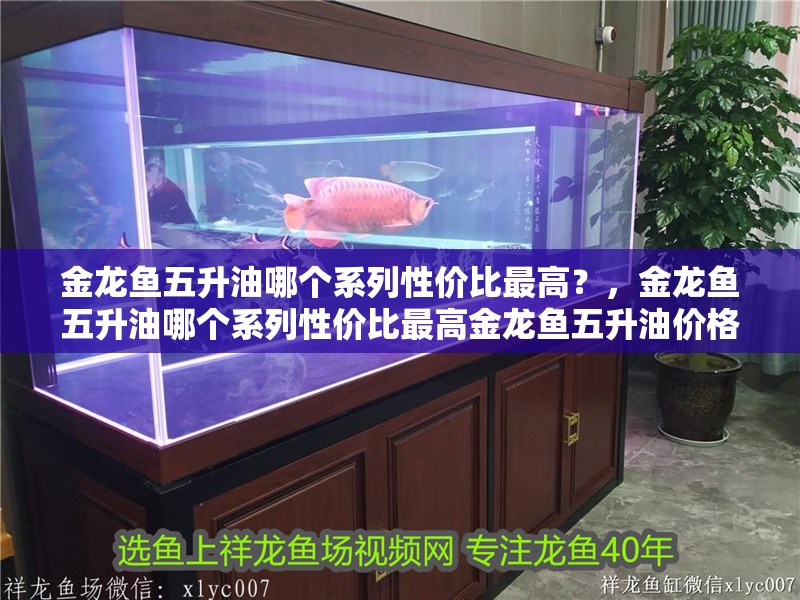 金龍魚五升油哪個系列性價比最高？，金龍魚五升油哪個系列性價比最高金龍魚五升油價格對比