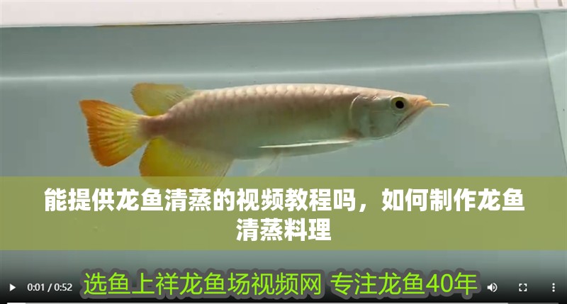 能提供龍魚清蒸的視頻教程嗎，如何制作龍魚清蒸料理