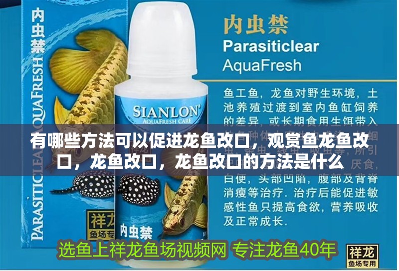 如何判斷龍魚是否蒸熟？