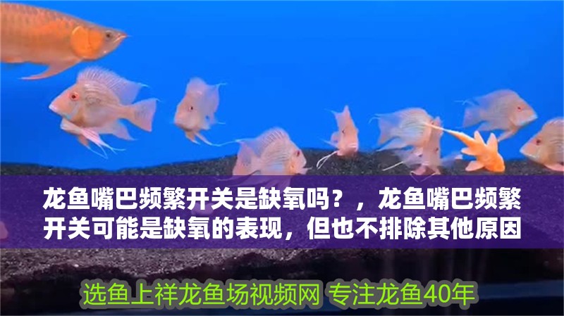 龍魚嘴巴頻繁開關是缺氧嗎？，龍魚嘴巴頻繁開關可能是缺氧的表現，但也不排除其他原因