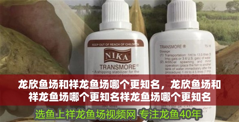 龍欣魚場和祥龍魚場哪個更知名，龍欣魚場和祥龍魚場哪個更知名祥龍魚場哪個更知名