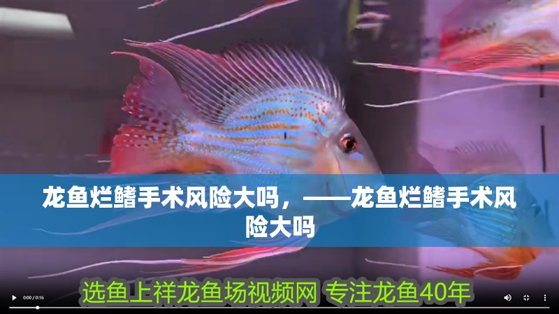 龍魚爛鰭手術風險大嗎，——龍魚爛鰭手術風險大嗎