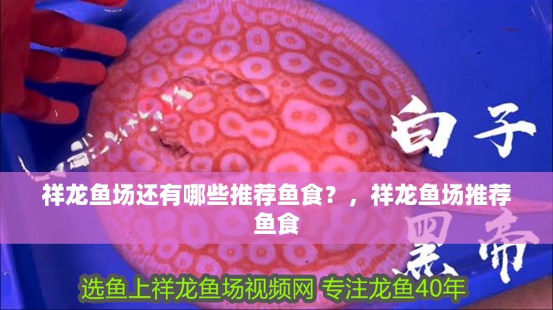 祥龍魚場還有哪些推薦魚食？，祥龍魚場推薦魚食