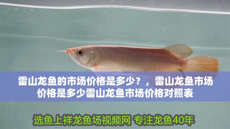 雷山龍魚的市場價格是多少？，雷山龍魚市場價格是多少雷山龍魚市場價格對照表