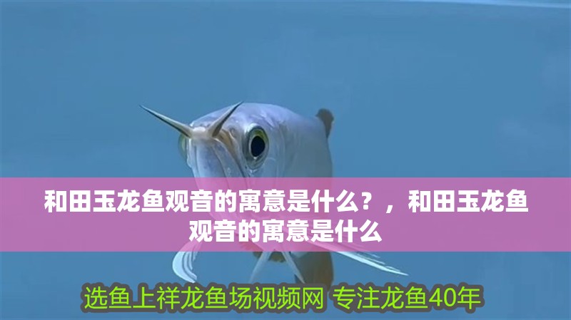 和田玉龍魚(yú)觀音的寓意是什么？，和田玉龍魚(yú)觀音的寓意是什么