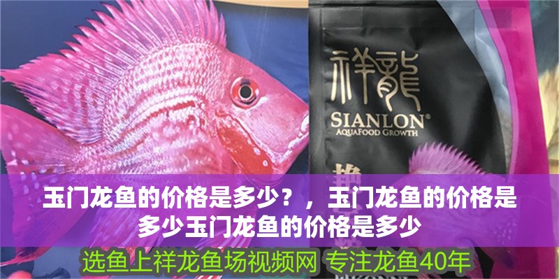 玉門龍魚的價格是多少？，玉門龍魚的價格是多少玉門龍魚的價格是多少
