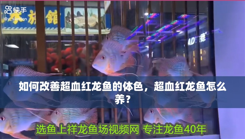 如何改善超血紅龍魚的體色，超血紅龍魚怎么養(yǎng)？