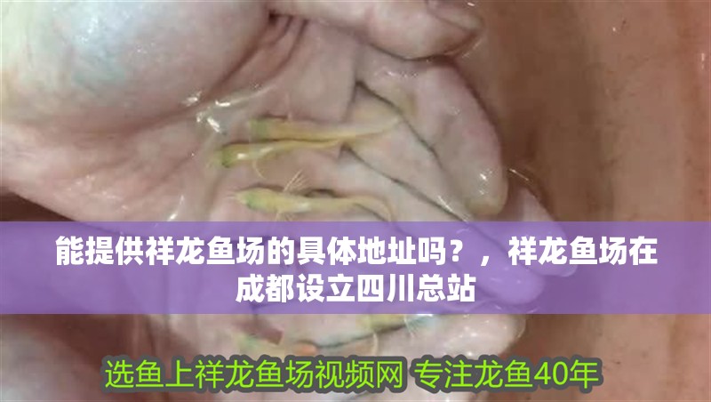能提供祥龍魚場的具體地址嗎？，祥龍魚場在成都設(shè)立四川總站