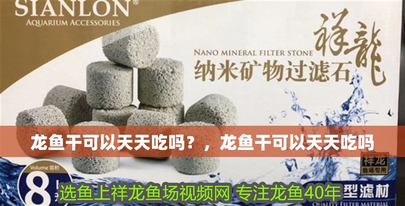 龍魚干可以天天吃嗎？，龍魚干可以天天吃嗎
