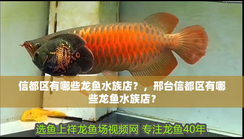 信都區有哪些龍魚水族店？，邢臺信都區有哪些龍魚水族店？