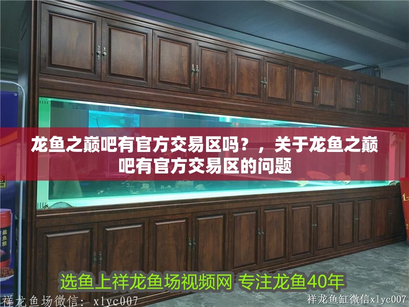 龍魚之巔吧有官方交易區嗎？，關于龍魚之巔吧有官方交易區的問題