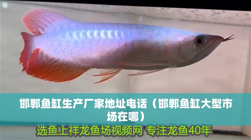 邯鄲魚缸生產(chǎn)廠家地址電話（邯鄲魚缸大型市場在哪）