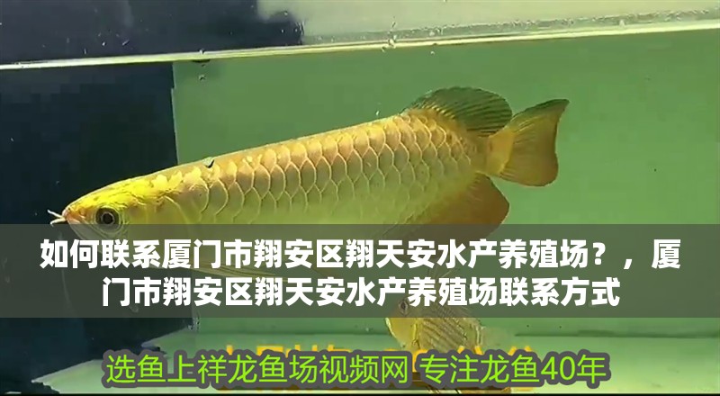如何聯系廈門市翔安區翔天安水產養殖場？，廈門市翔安區翔天安水產養殖場聯系方式