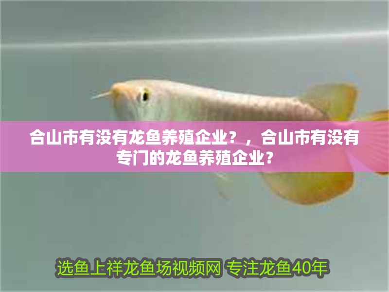 合山市有沒有龍魚養殖企業？，合山市有沒有專門的龍魚養殖企業？
