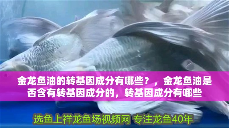 金龍魚油的轉基因成分有哪些？，金龍魚油是否含有轉基因成分的，轉基因成分有哪些