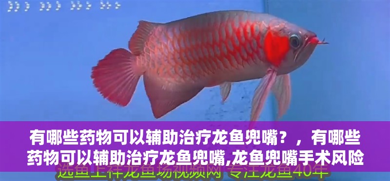 有哪些藥物可以輔助治療龍魚兜嘴？，有哪些藥物可以輔助治療龍魚兜嘴,龍魚兜嘴手術(shù)風(fēng)險大嗎