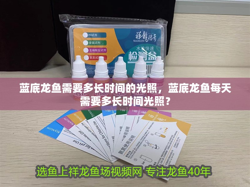 藍(lán)底龍魚需要多長時(shí)間的光照，藍(lán)底龍魚每天需要多長時(shí)間光照？