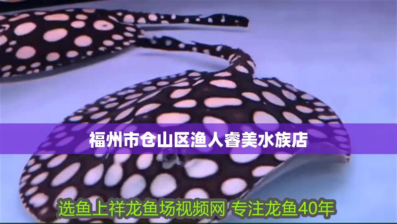 福州市倉山區漁人睿美水族店