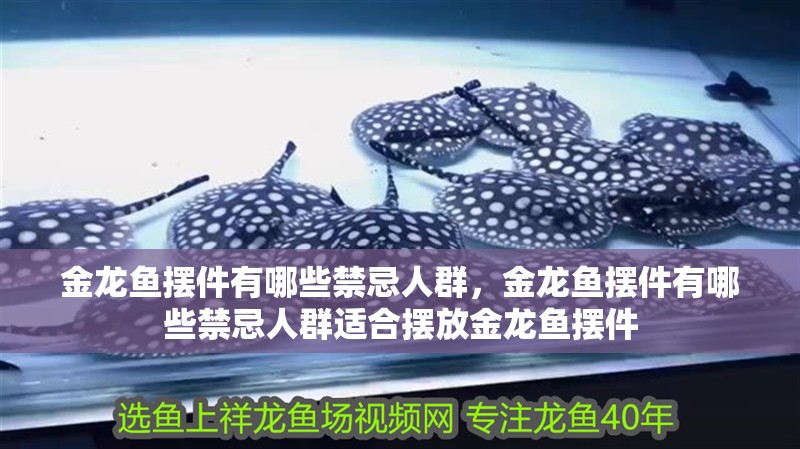 金龍魚擺件有哪些禁忌人群，金龍魚擺件有哪些禁忌人群適合擺放金龍魚擺件