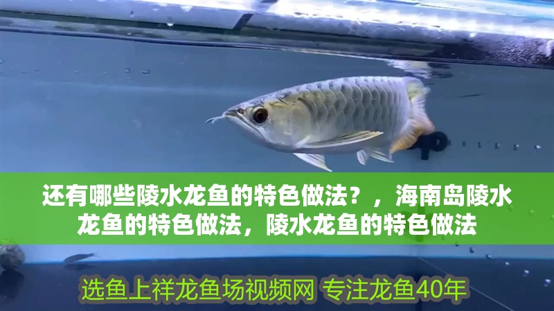 還有哪些陵水龍魚的特色做法？，海南島陵水龍魚的特色做法，陵水龍魚的特色做法