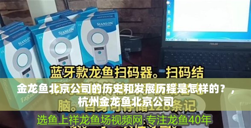 金龍魚(yú)北京公司的歷史和發(fā)展歷程是怎樣的？，杭州金龍魚(yú)北京公司