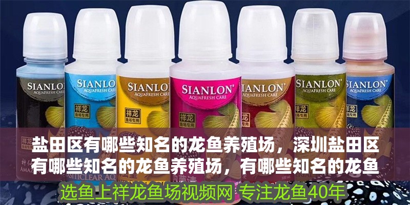 鹽田區有哪些知名的龍魚養殖場，深圳鹽田區有哪些知名的龍魚養殖場，有哪些知名的龍魚養殖場