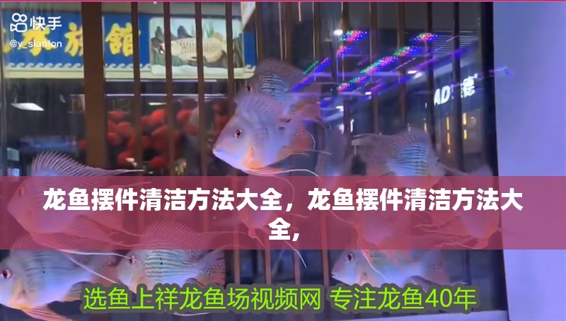 龍魚擺件清潔方法大全，龍魚擺件清潔方法大全,
