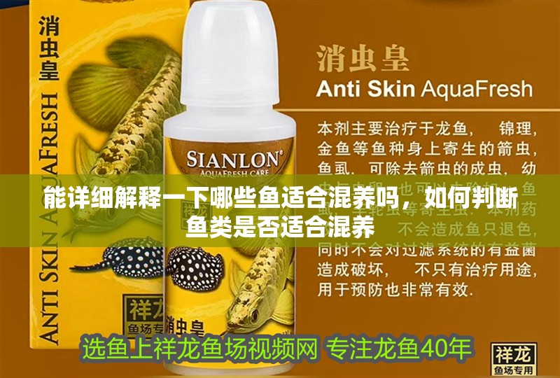 能詳細解釋一下哪些魚適合混養嗎，如何判斷魚類是否適合混養